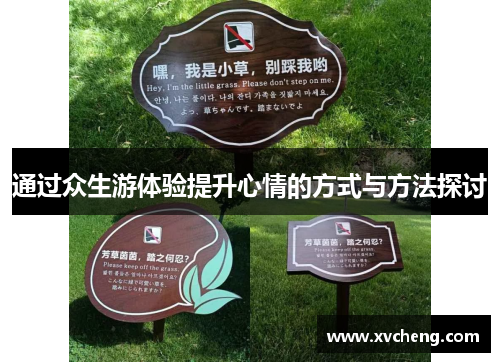 通过众生游体验提升心情的方式与方法探讨