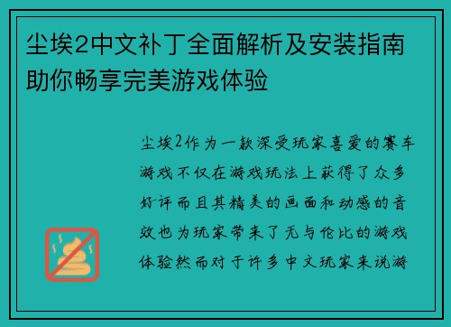 尘埃2中文补丁全面解析及安装指南 助你畅享完美游戏体验